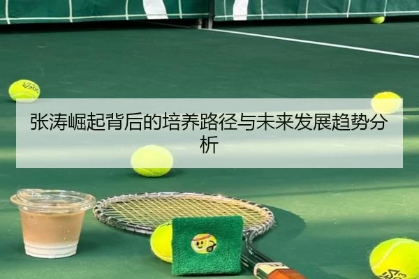 张涛崛起背后的培养路径与未来发展趋势分析
